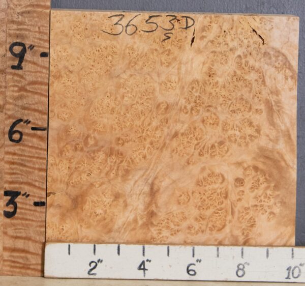 5A Block Burl Maple