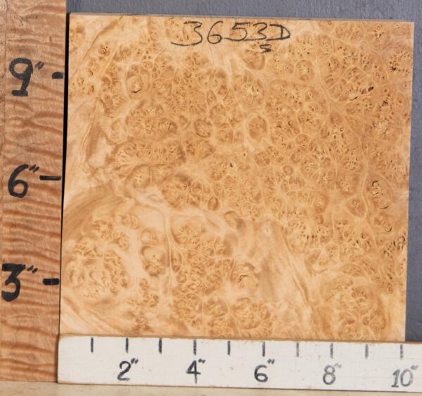 5A Block Burl Maple