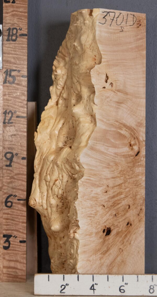 5A Burl Maple