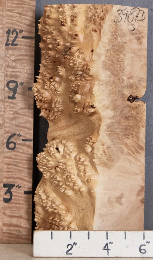 5A Block Burl Maple