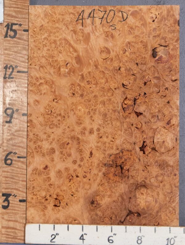 5A Block Burl Maple