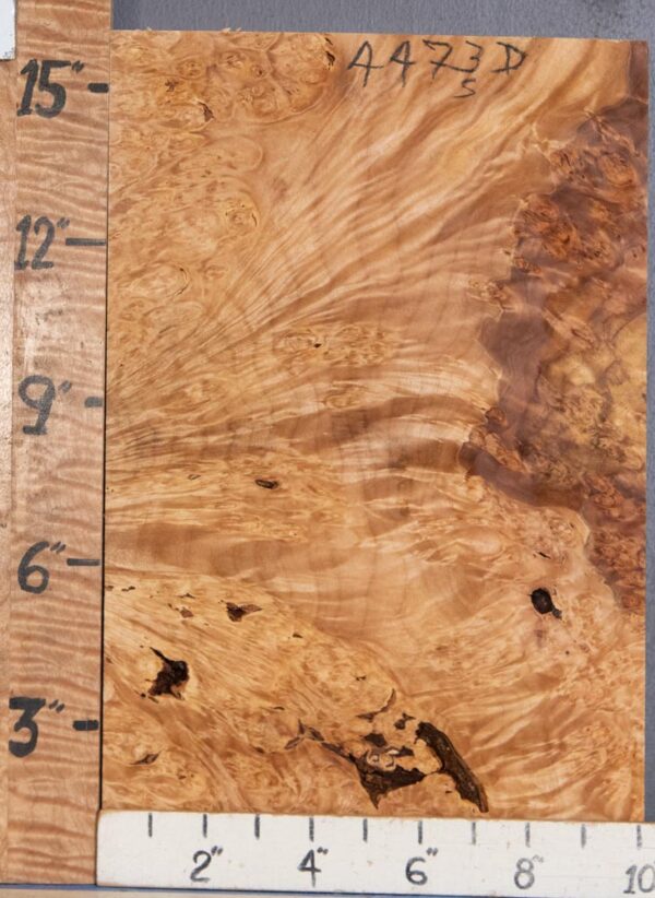 5A Block Burl Maple