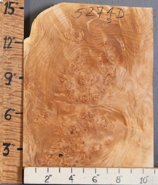 5A Block Burl Maple