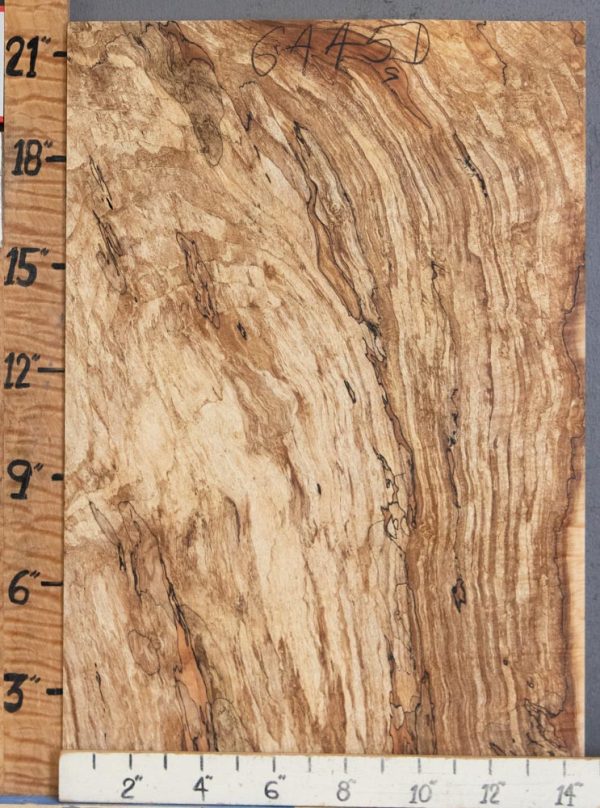 5A Block Spalted Maple