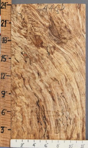 5A Block Spalted Maple