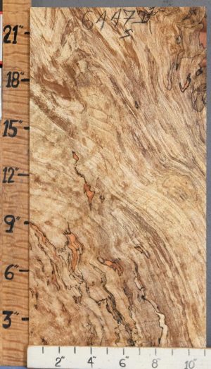 5A Block Spalted Maple