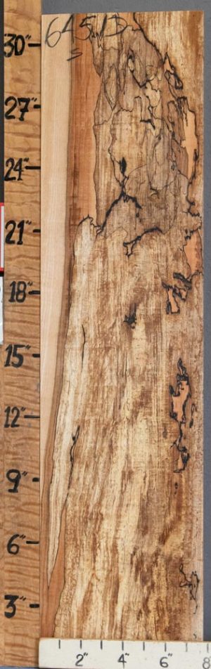 5A Block Curly Spalted Maple