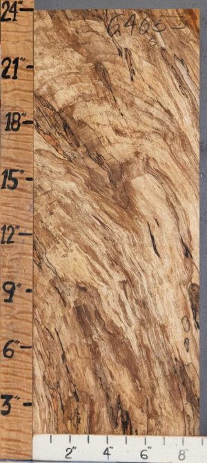 5A Block Spalted Maple