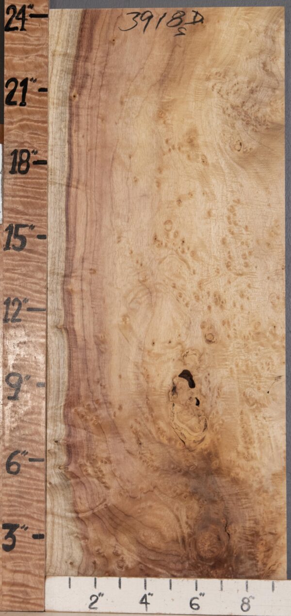 5A Block Burl Myrtlewood