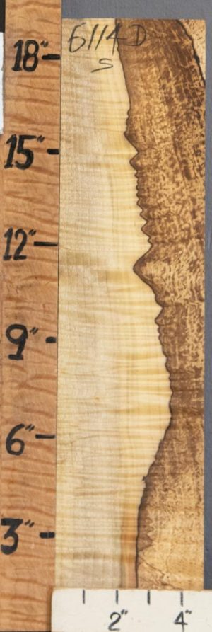 5A Block Spalted Curly Myrtlewood