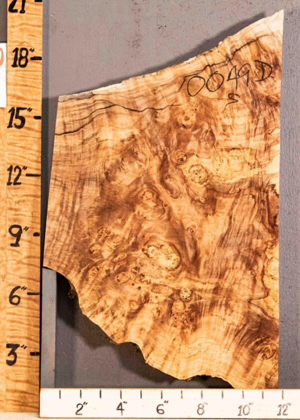 5A Spalted Burl Maple with Live Edge 18" X 11" X 1"7/8 (NWT-0049D)