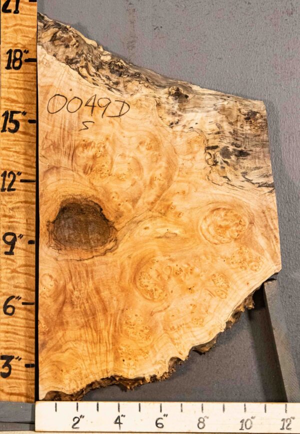 5A Spalted Burl Maple with Live Edge 18" X 11" X 1"7/8 (NWT-0049D) - Image 2