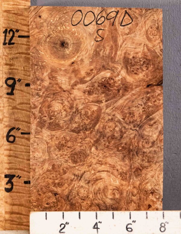 5A Block Spalted Burl Maple 8" X 13"1/2 X 3"1/4 (NWT-0069D) - Image 2