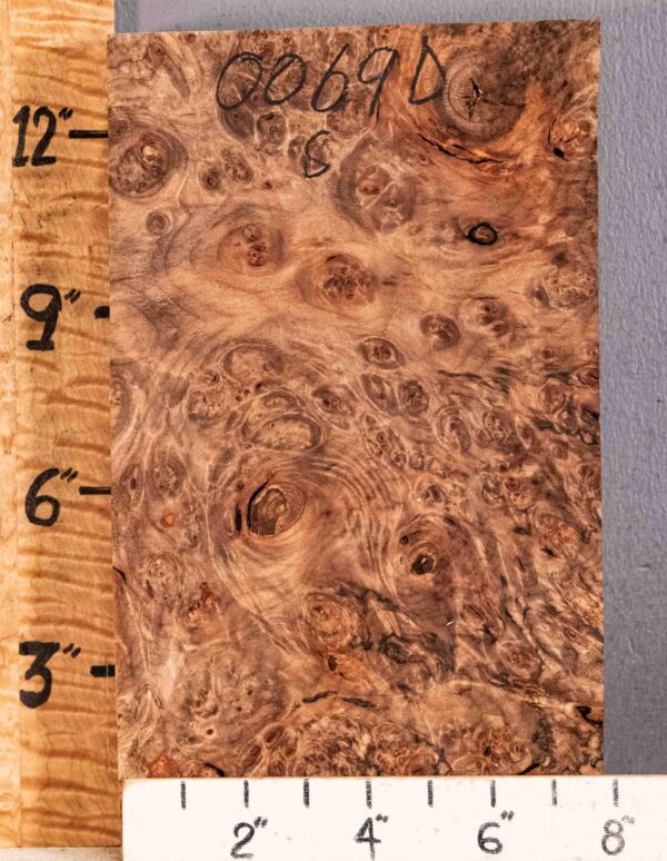 5A Block Spalted Burl Maple 8" X 13"1/2 X 3"1/4 (NWT-0069D)