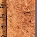 5A Block Spalted Burl
