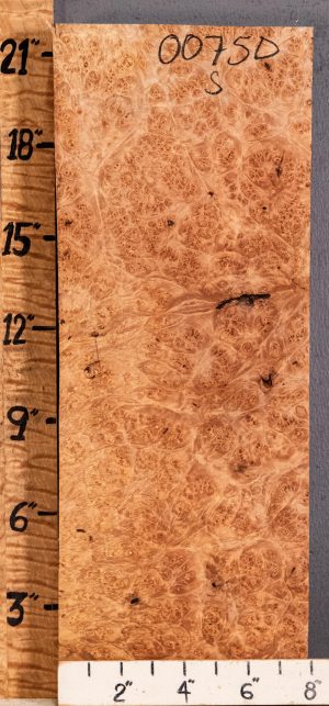 5A Block Spalted Burl