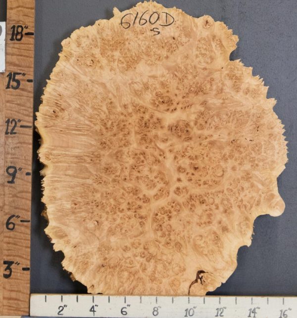 5A Burl Maple