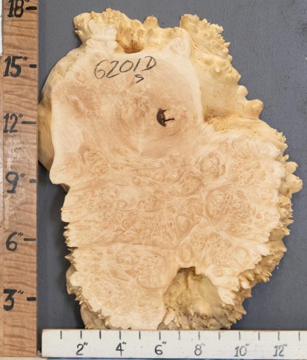 5A Burl Maple