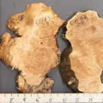 5A Burl Maple