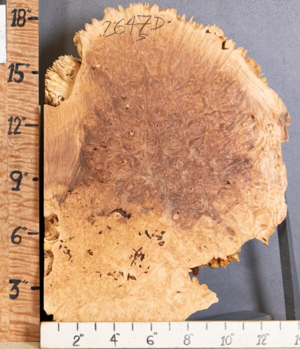 5A Cap Burl Maple with Live Edge Lumber 13" X 18" X 5"1/2 (NWT-2647D)