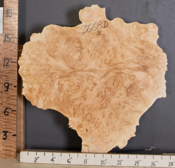 5A Cap Burl Maple