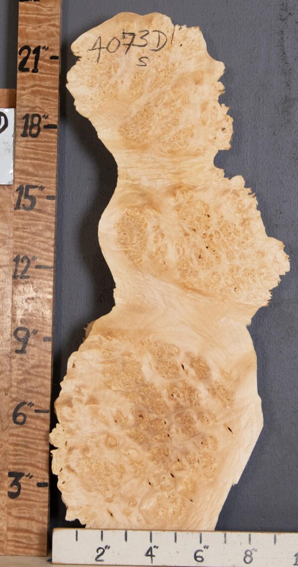 5A Cap Burl Maple