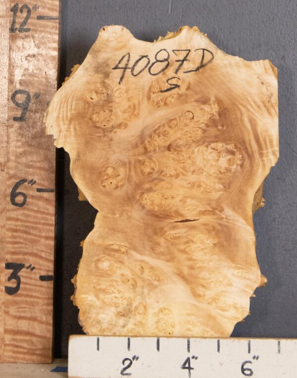 5A Cap Burl Maple