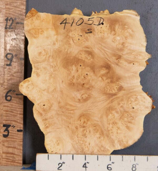 5A Cap Burl Maple