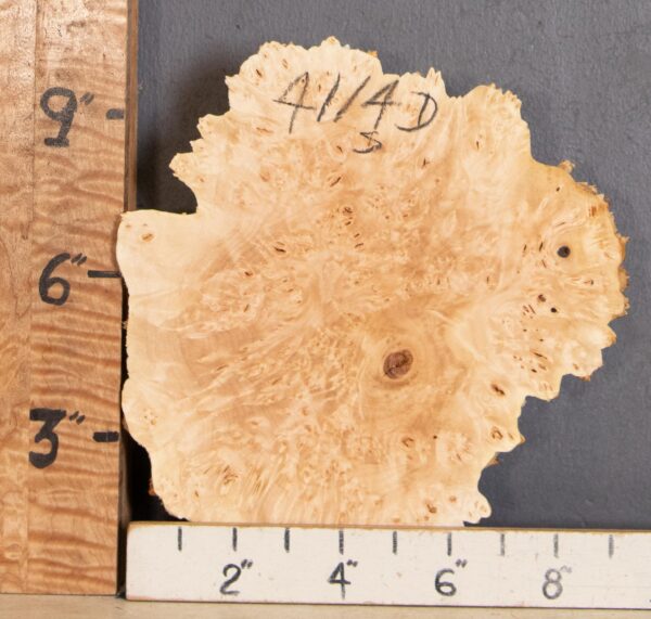 5A Cap Burl Maple