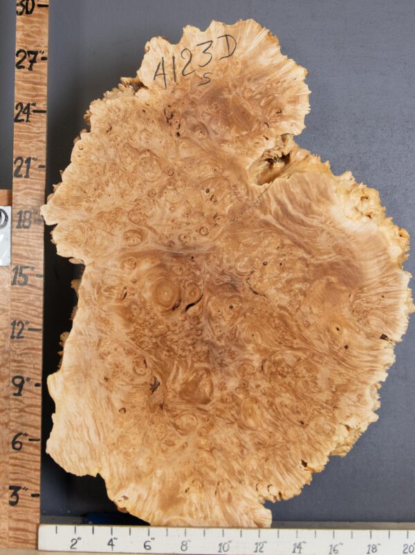 5A Cap Burl Maple