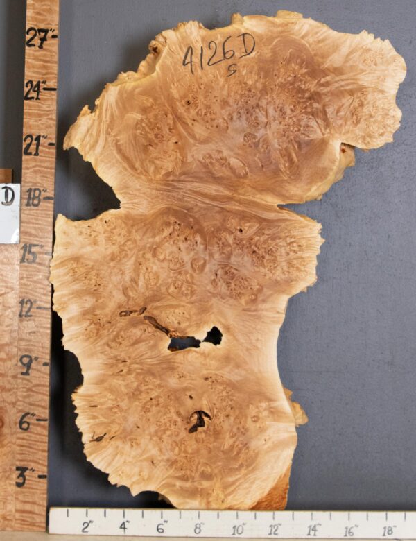 5A Cap Burl Maple