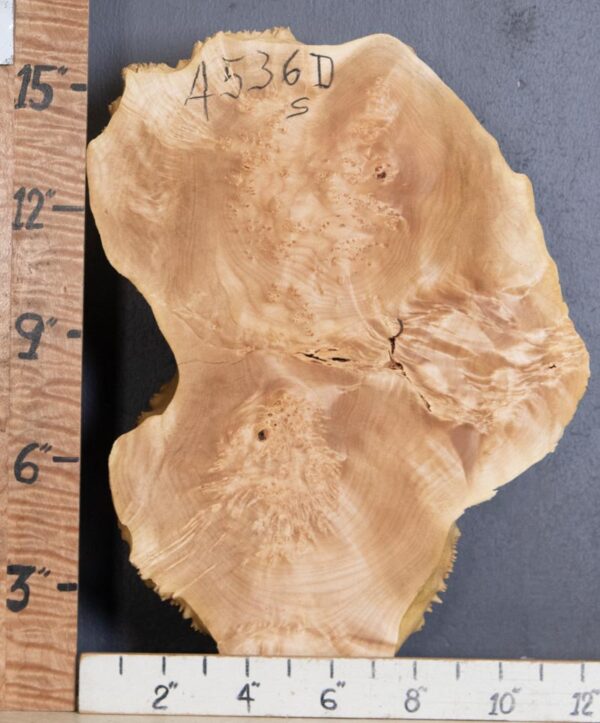 5A Cap Burl Maple