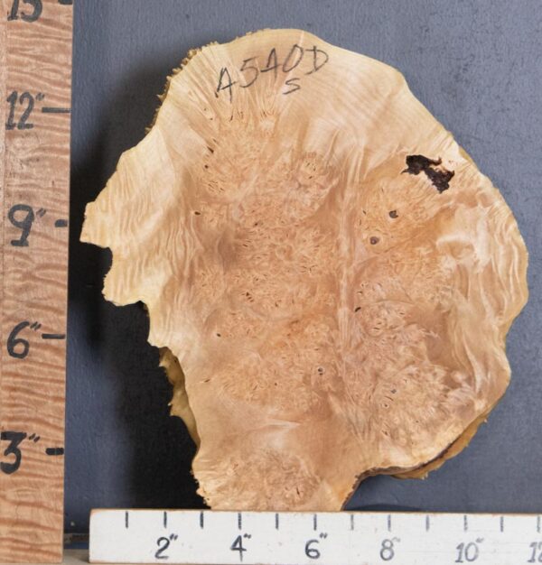 5A Cap Burl Maple