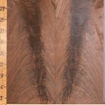 5A Crotch Claro Walnut