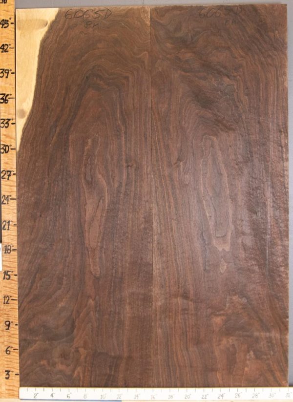 5A Curly Marbled Claro Walnut