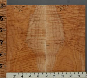 5A Curly Maple Bookmatch 19"1/2 X 18" X 3/8 (NWT-1953C)