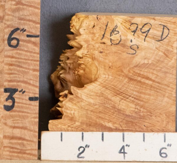 5A Block Curly Burl Maple with Live Edge Lumber 5" X 7" X 3"1/4 (NWT-1699D) - Image 2