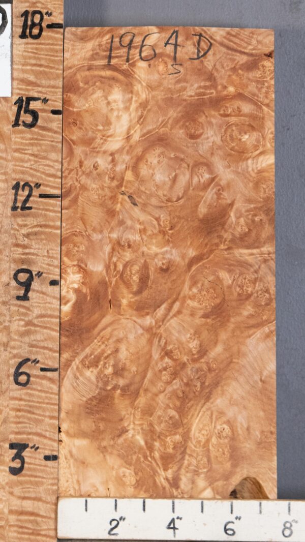 5A Block Spalted Burl Maple