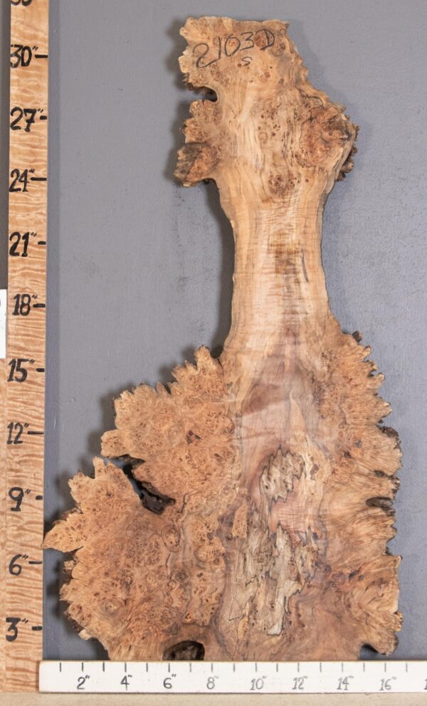 5A Spalted Burl Maple with Live Edge Lumber 15" X 31" X 1"3/4 (NWT-2103D) - Image 2