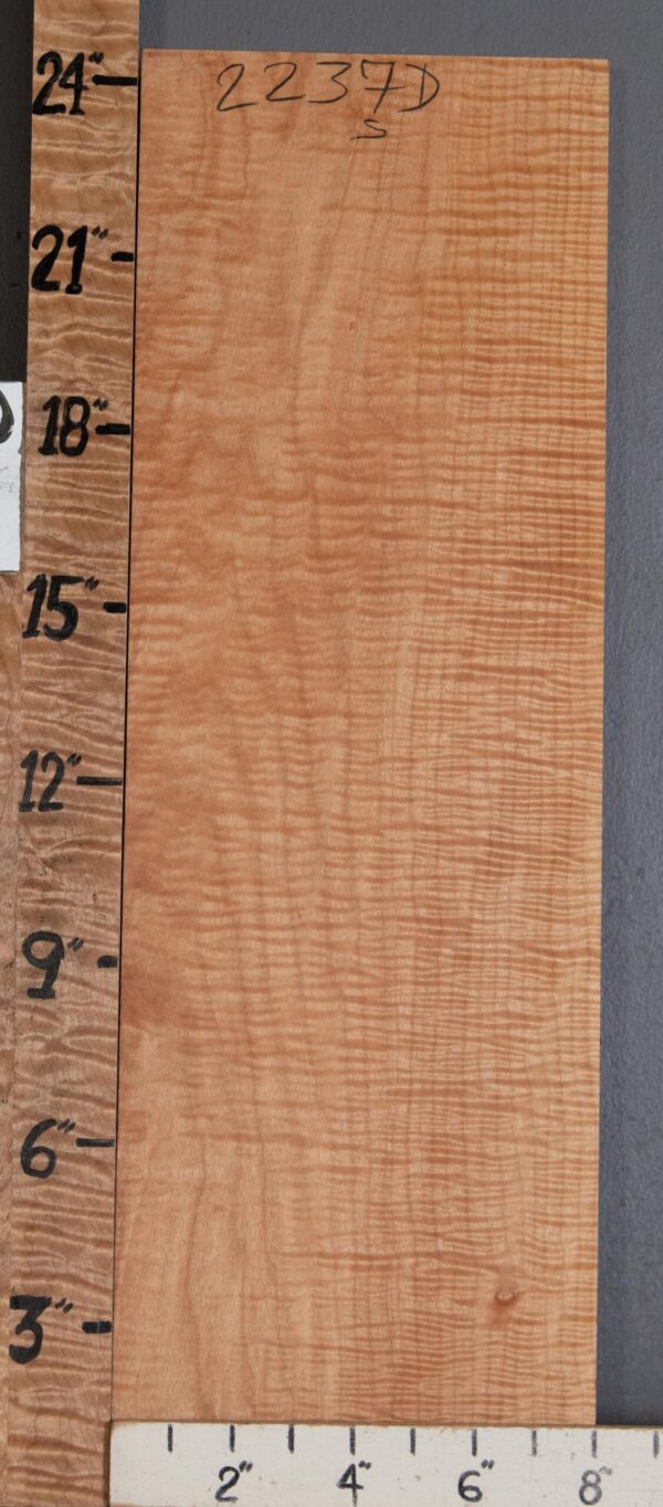 Musical Billet Curly Maple Lumber 8" X 24" X 1"1/4 (NWT-2237D) - Image 2