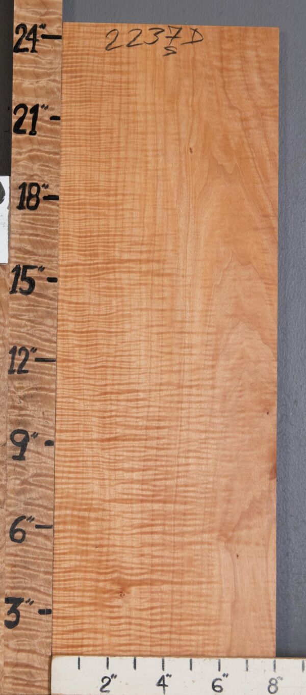 Musical Billet Curly Maple Lumber 8" X 24" X 1"1/4 (NWT-2237D)