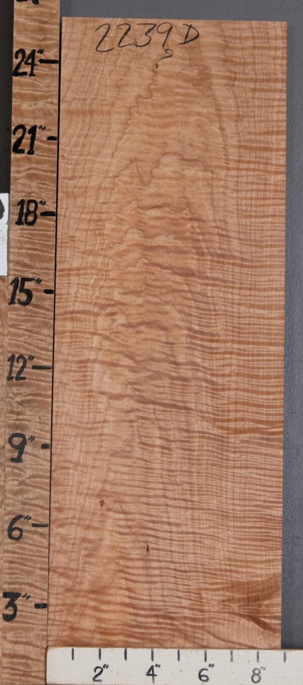 Musical Billet Curly Maple Lumber 8"7/8 X 25" X 1"1/8 (NWT-2239D)