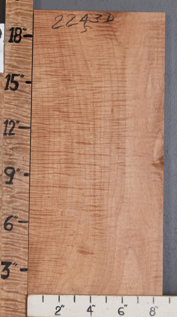 Musical Billet Curly Maple Lumber 8"1/2 X 19" X 1"1/4 (NWT-2243D)