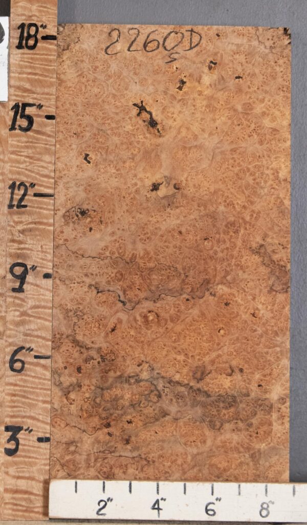 5A Block Spalted Burl Maple Lumber 8"3/4 X 18" X 1"7/8 (NWT-2260D) - Image 2