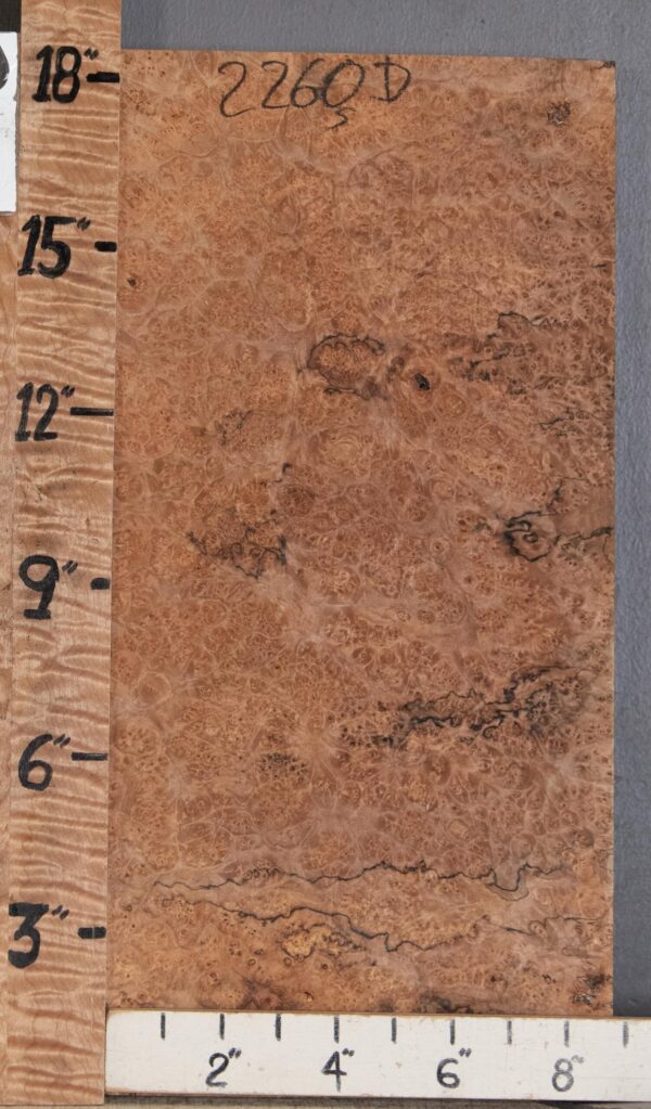 5A Block Spalted Burl Maple Lumber 8"3/4 X 18" X 1"7/8 (NWT-2260D)