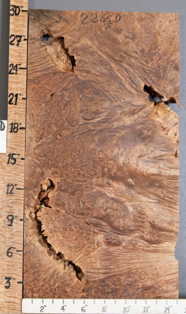 5A Block Burl Maple Lumber 15" X 29" X 2" (NWT-2266D) - Image 2