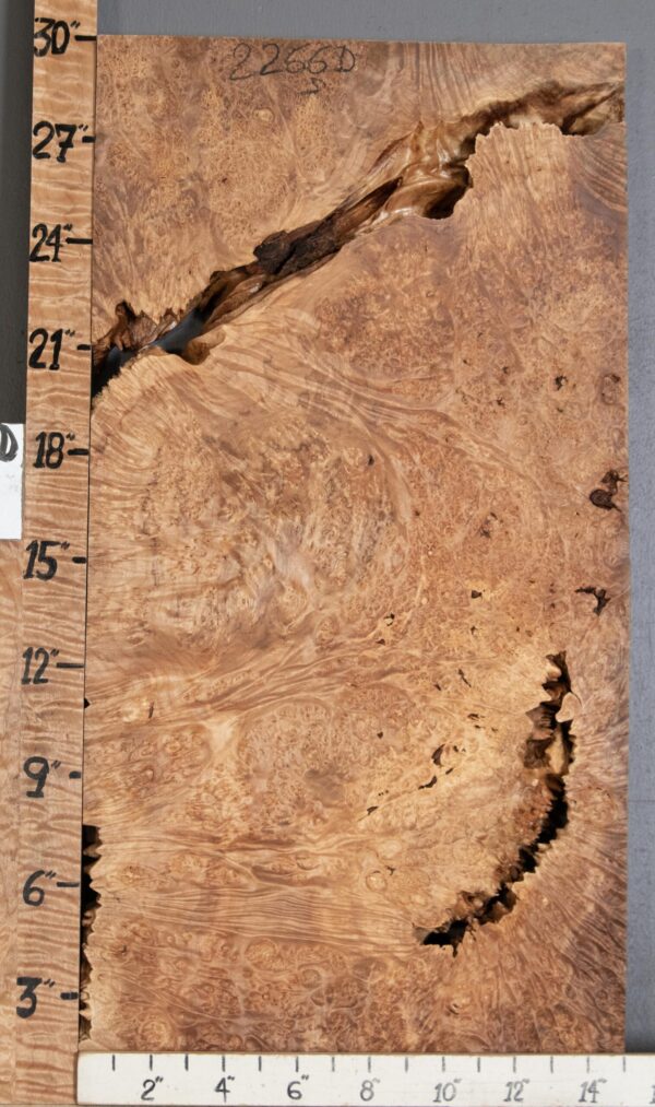 5A Block Burl Maple Lumber 15" X 29" X 2" (NWT-2266D)