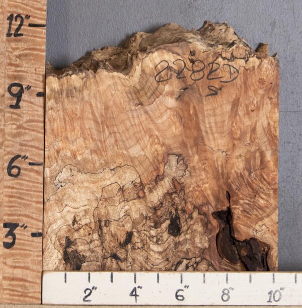 5A Block Spalted Burl Maple Lumber 10" X 11" X 3" (NWT-2282D)