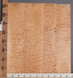 5A Quilted Maple
