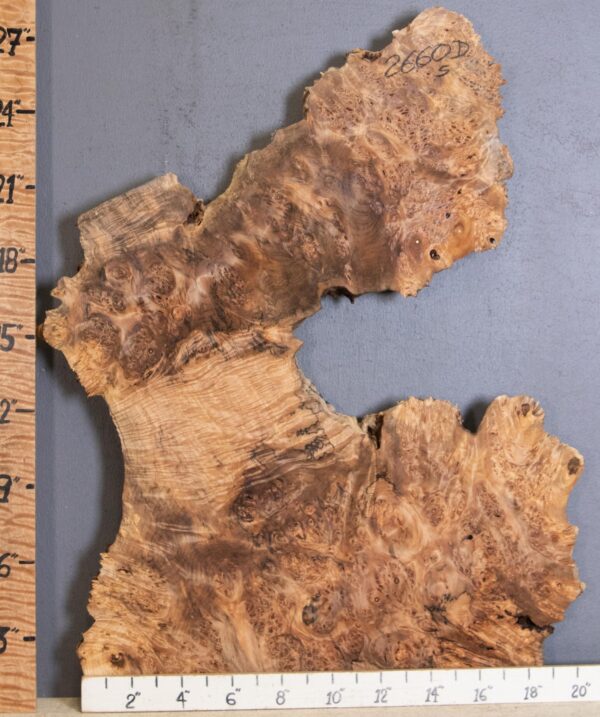 5A Burl Spalted Maple with Live Edge Lumber 19" X 27" X 1"7/8 (NWT-2660D) - Image 2